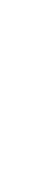 心を込めて織りなす、繊細な技が奏でる和の詩。